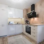 Cats Varna