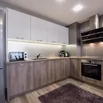 Cats Varna