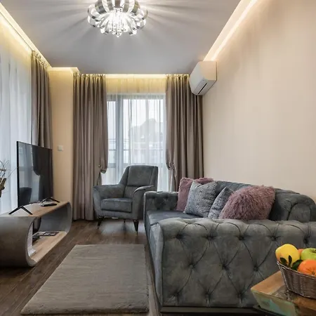 Apartment Cats Warna